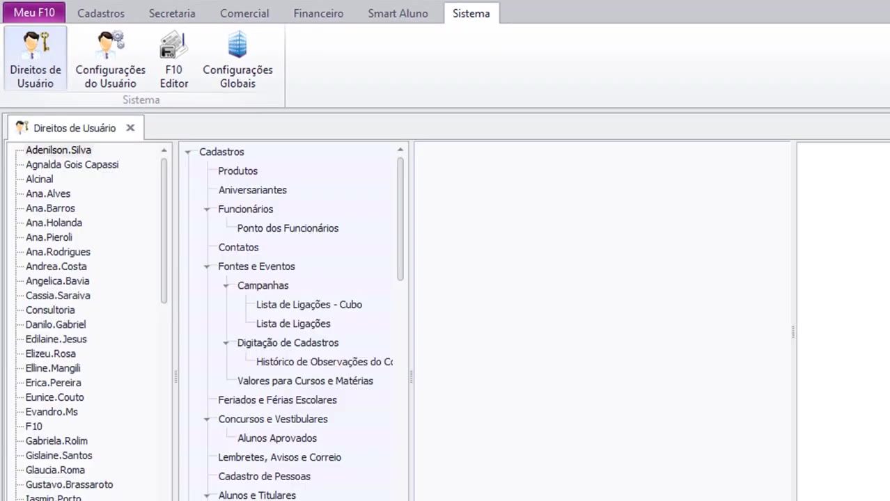 Menu Sistema com item Direitos de Usuário selecionável
